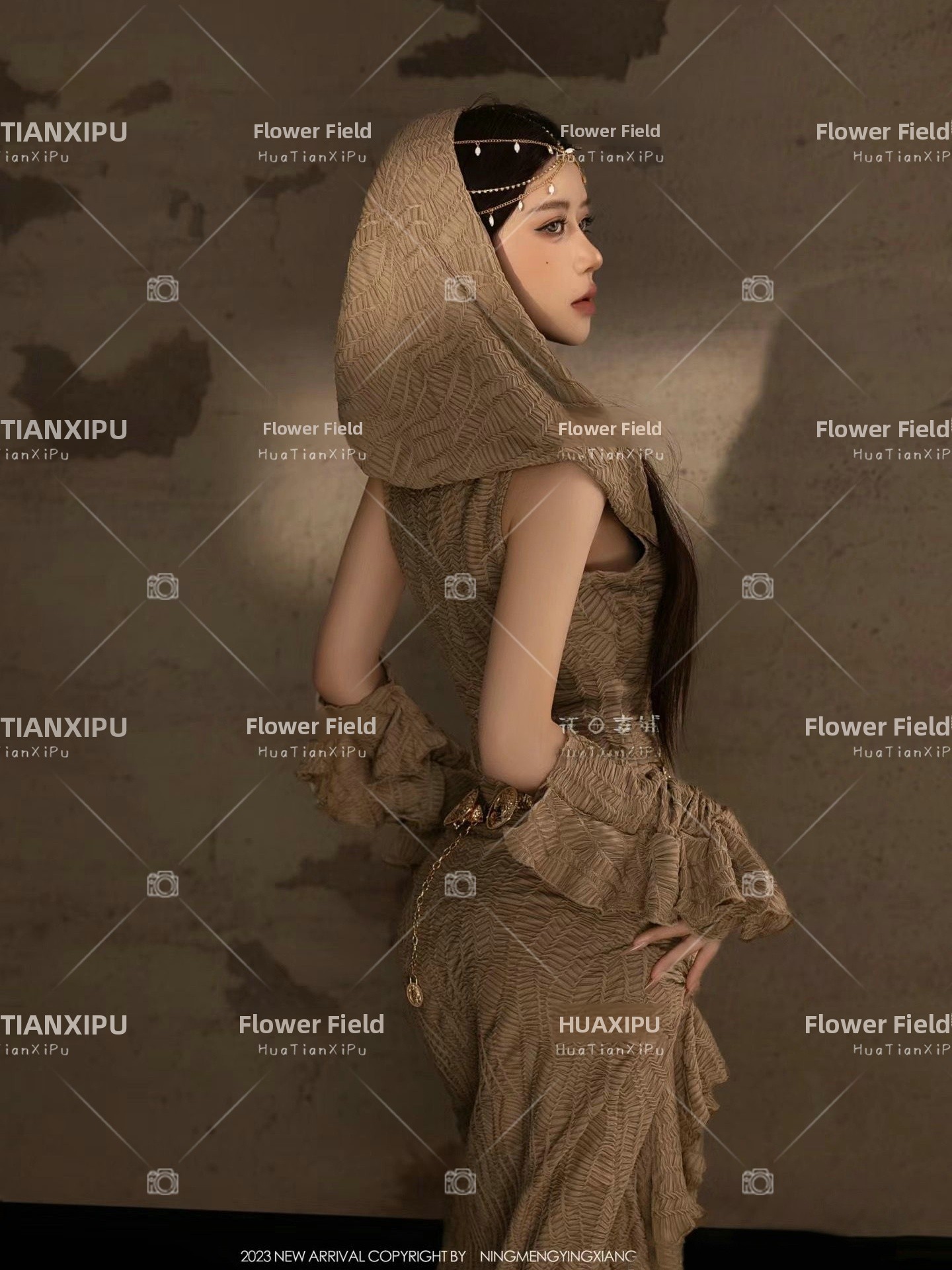 New Desert  Princess Style Pho - Ethnic Fashion Photography review and price